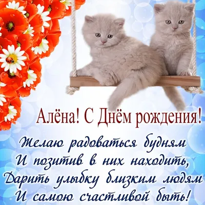 Бизнес приносил одни убытки и Николай ушел в бизнес-тренеры. Смешные приколы,  шутки и анекдоты | Екатерина Степанова | Дзен картинки