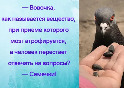 Картинки с Днем юриста 2020 на украинском: открытки, пожелания – Люкс ФМ картинки