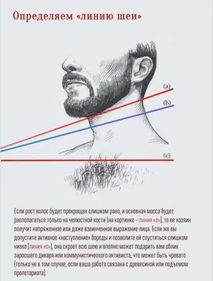 Как правильно отращивать бороду картинки