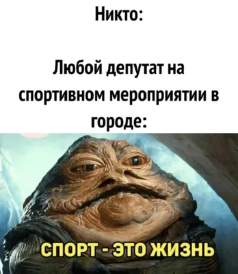 Приколы нашего городка. Круговорот депутатов и телеведущих в природе —  Новая газета картинки