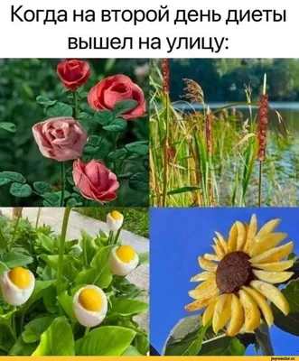 Я худЕю с такой диеты🤣 #юмор #мужженаприкол #ржака #диета #комедия #смешно  #скетч #приколы #смех - YouTube картинки