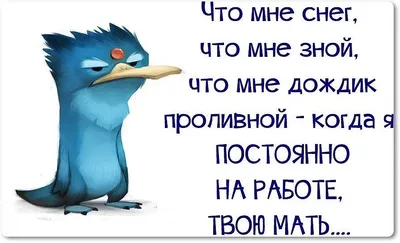 Анекдоты дня: приколы и мемы за 12 июля картинки