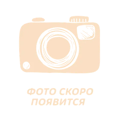 Семейный юмор l Приколы l Ягуновы | Мой незаменимый фотограф😂 Вас тоже муж  постоянно фоткает?😁 #смешныевидео #семейныеотношения #семьяибрак  #мамавдекрете #юмор | Дзен картинки