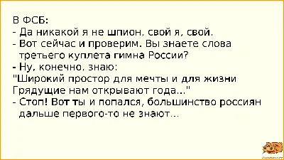 Сотрудники ФСБ пытаются срочно вывезти семьи из оккупированного Крыма:  спецслужбы перехватили переписку картинки