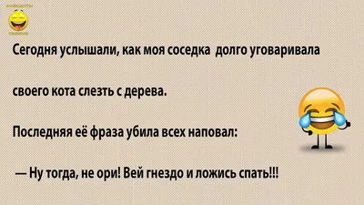 АНЕКДОТЫ про игоря, жену, кота и еврея | АНЕКДОТЫ СВЕЖИЕ | Дзен картинки