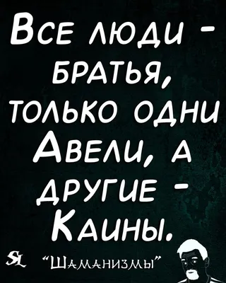 Подборка прикольных открыток с юмором и сарказмом - Телеграф картинки