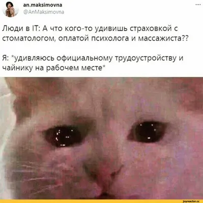 Олег Лукин | Новые эмоции 🤣 #юмор #ржака #приколы #скетчи | Дзен картинки