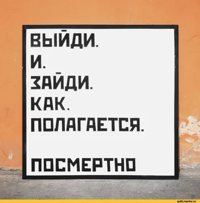 ПРИКОЛЫ ПРО МИШУ / смешные картинки и другие приколы: комиксы, гиф  анимация, видео, лучший интеллектуальный юмор. картинки