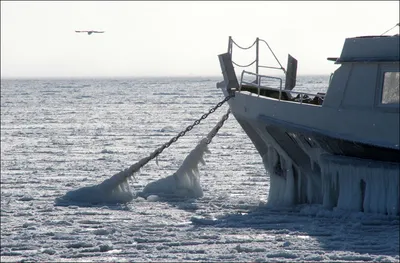 ✈ Анекдоты про море, черноморское побережье и отдых на пляже картинки