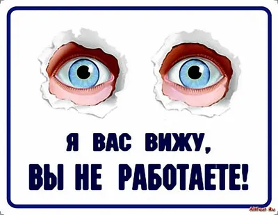 Кружка \"прикол \"Белочка\"\", 330 мл, 1 шт - купить по доступным ценам в  интернет-магазине OZON (182760067) картинки