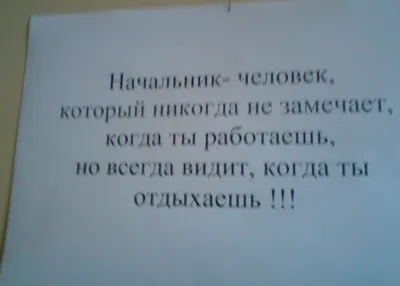 Приколы про начальство. Надеюсь меня не уволят... | Степан Нечаев | Дзен картинки