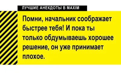 Лучшие анекдоты про начальников и боссов | MAXIM картинки