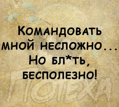 Юмор, приколы, анекдоты, подними себе настроение. | Потеха | Дзен картинки