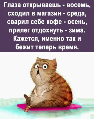 Поздравления с днем рождения дяде прикольные - 75 фото картинки