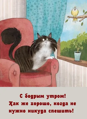 Pin by Светлана on С добрым утром | Good morning cards, Good morning, Cats картинки