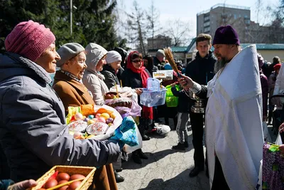 В хорошую погоду меня от окна даже за уши не оттащишь: анекдоты дня | Живая  Кубань картинки