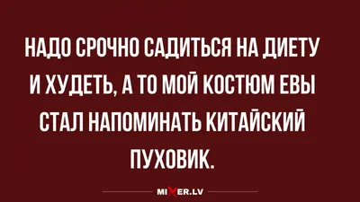 Шутки про диету и похудение. Худей с юмором | Живой блог | Дзен картинки