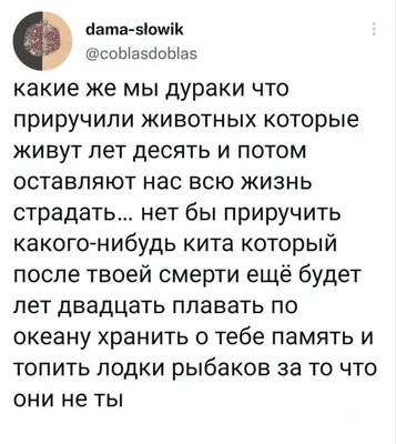 Анекдоты про рыбалку и рыбаков: более 50 свежих и смешных шуток картинки