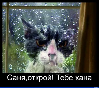 саня, це точно нивки? i де, к стад паша? написав, шо в маршрутку сщае на  виноградар1 / Киев :: Моя Україна :: Украина :: приколы для даунов ::  суржик :: маршрутка :: картинки