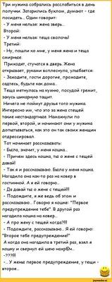 Смешные приколы про семью. | Ирина Победнова | Дзен картинки