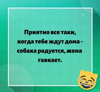 Pin by Сергей on приколы | Humor, Lol картинки