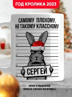 олег #сергей #выборы #прикол | TikTok картинки