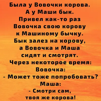 юмор, приколы про котиков в 2023 г | Юмор картинки