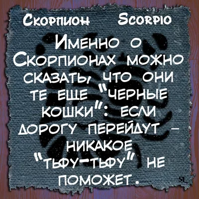 Скорпион. Scorpio. Смешные афоризмы про знаки зодиака. Funny aphorisms  about the signs of the zodiac | Zodiac signs, Zodiac, Scorpio картинки