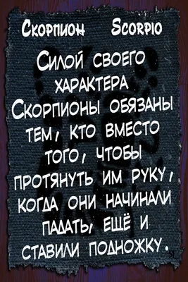 Скорпион. Scorpio. Смешные афоризмы про знаки зодиака. Funny aphorisms  about the signs of the zodiac | Гороскоп, Знаки зодиака, Астрология картинки