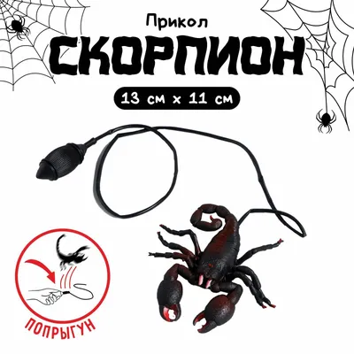 Скорпион. Scorpio. Смешные афоризмы про знаки зодиака. Funny aphorisms  about the signs of the zodiac | Гороскоп, Знаки, Знаки зодиака картинки