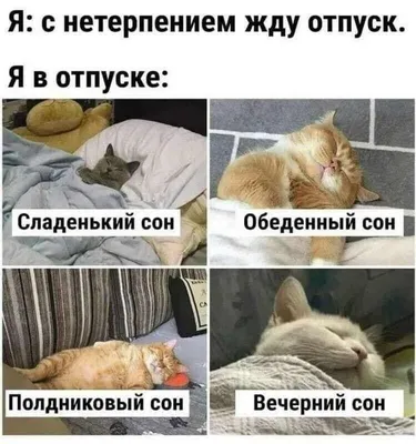 Сон картинки