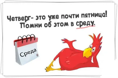 Кружка \"Приколы\", 300 мл - купить по доступным ценам в интернет-магазине  OZON (860554751) картинки