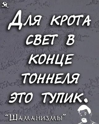 Фото приколы и веселые Картинки с надписями картинки