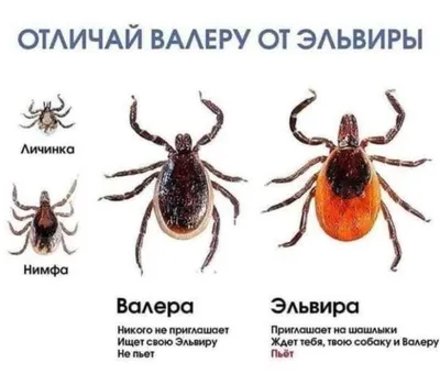 Шутки на броне: Какие надписи делают российские военнослужащие на снарядах  и боевой технике - Российская газета картинки