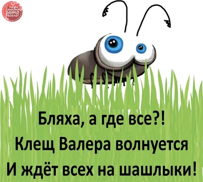 bugaga.ru on X: \"Актуальненько, особенно на майские! #знания #клещи #валера  #эльвира #прикол https://t.co/yGpkaW4xFK\" / X картинки