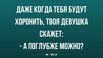 Смешные картинки, шутки, и прочее о лошадях и не только | Страница 3 |  KoniClub.pro картинки