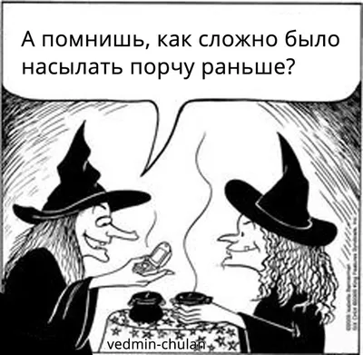 ведьма #прикол #магия #телефон #порча | Halloween jokes, Halloween funny,  Halloween cartoons картинки