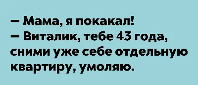 виталик / смешные картинки и другие приколы: комиксы, гиф анимация, видео,  лучший интеллектуальный юмор. картинки