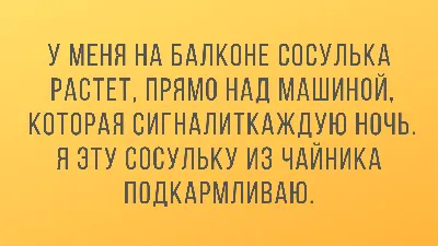 прикол #юмор #прикольно #анекдот #Водители #гаи #followme #likeforlike  #такси #bestoftheday #happy #funny #smile #follow4follow | ВКонтакте картинки