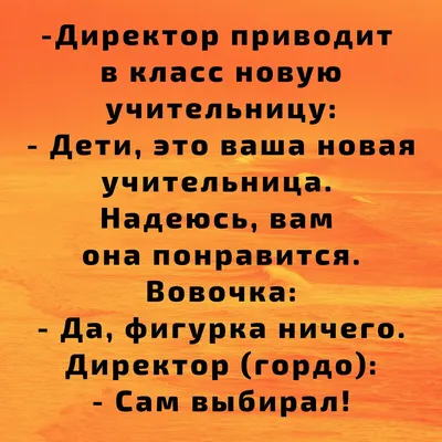 Самые смешные и прикольные анекдоты про Вовочку | Прикольно и Смешно | Дзен картинки