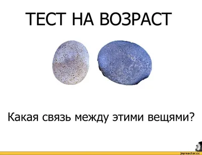 ТЕСТ НА ВОЗРАСТ Какая связь между этими вещями? / слово \"вещями\" писал не я  :: пиздец уже заебали своими проверками на возраст / смешные картинки и  другие приколы: комиксы, гиф анимация, видео, картинки