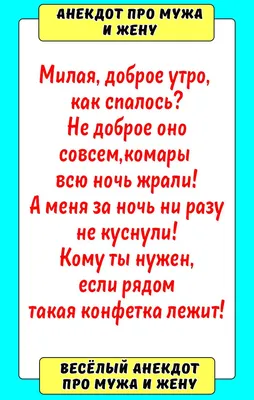 Анекдот про мужа и жену | Смешные поговорки, Смешно, Смешные карикатуры картинки