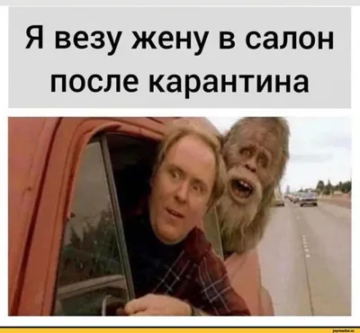 Вызвали бы жену на час?😅#юмор#жена#приколы #топ | TikTok картинки