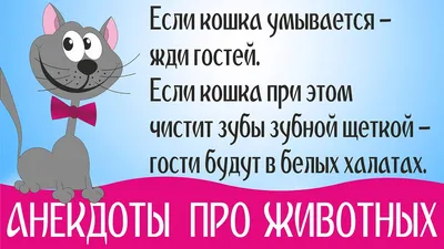 приколы про животных. | звездачет | Дзен картинки