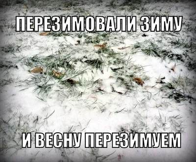 Последний день зимы... Анекдоты про зимушку | Мы Вам Не Верим | Дзен картинки