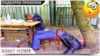 Приколы с котами! Смешные коты с ОЗВУЧКОЙ! СМЕШНЫЕ ЖИВОТНЫЕ 2022! Ржака до  слез – Доми шоу - YouTube картинки