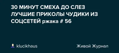 Смешные коты С ОЗВУЧКОЙ! Ржака до СЛЁЗ 2022! Приколы с животными – Доми шоу  - YouTube картинки