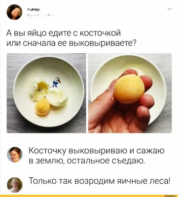 не куча яиц под ногами / смешные картинки и другие приколы: комиксы, гиф  анимация, видео, лучший интеллектуальный юмор. картинки