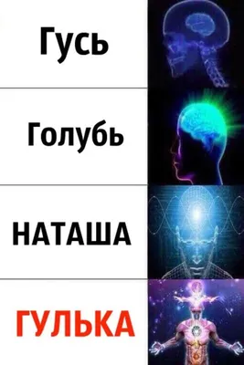 Наташ, вставай, мы все уронили\": откуда взялись мемы про Наташу и котов,  которые теперь буквально везде » BigPicture.ru картинки