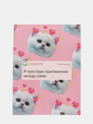 Приколы про котов | Юмор Амино Amino картинки